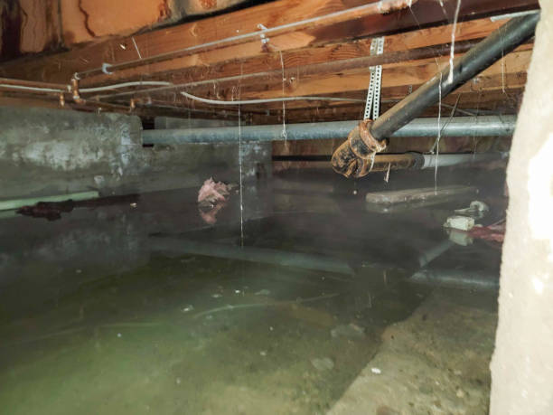 Best Emergency water damage restoration  in Carlyss, LA