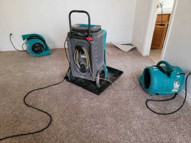 Trusted LA Water damage restoration Experts