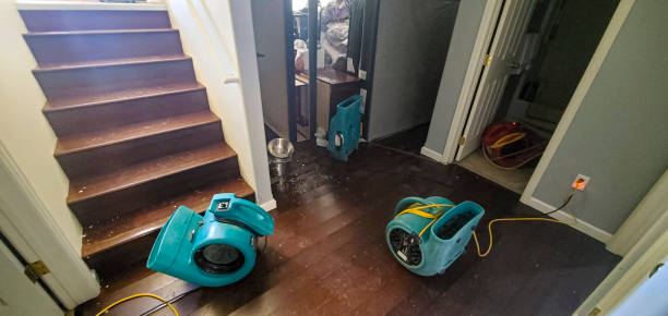 Best Ceiling water damage repair  in Carlyss, LA