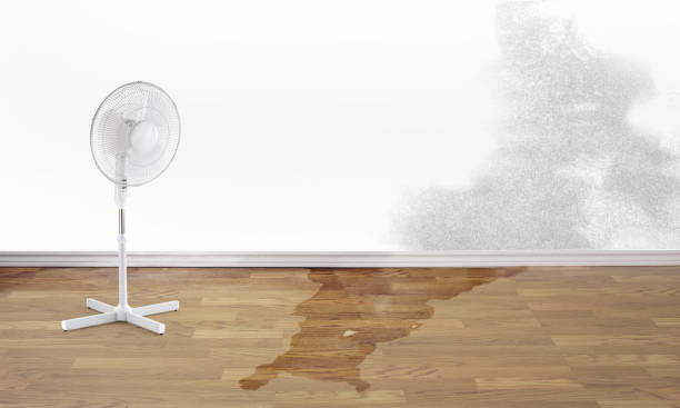 Best Water damage restoration near me  in Carlyss, LA