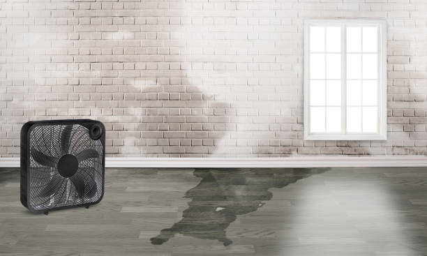 Water damage restoration insurance claims in LA