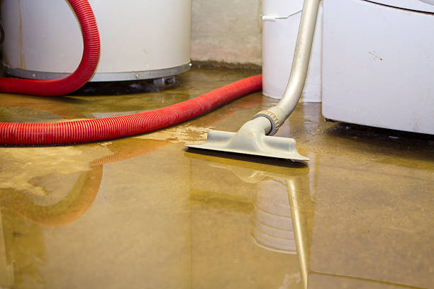 Trusted LA Water damage restoration Experts