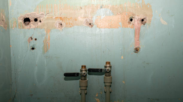 Best Sewage cleanup and water damage restoration  in Carlyss, LA