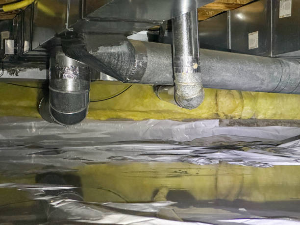 Best Ceiling water damage repair  in Carlyss, LA