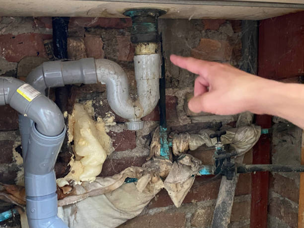 Best Water damage contractors near me  in Carlyss, LA
