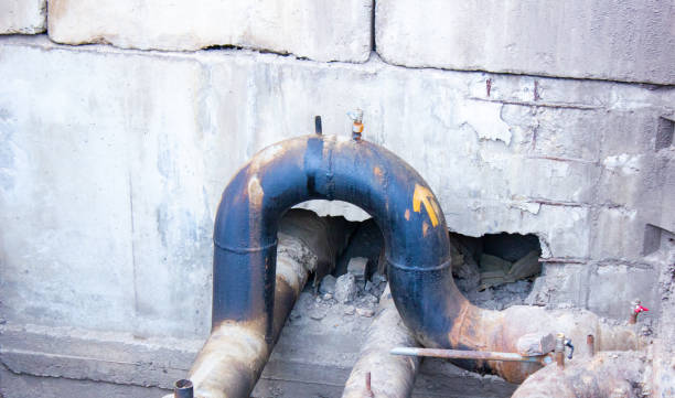 Best Flood damage cleanup  in Carlyss, LA