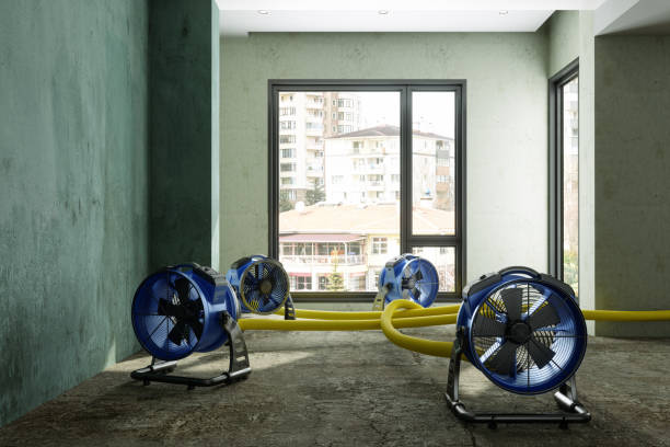 Best Residential water damage restoration  in Carlyss, LA