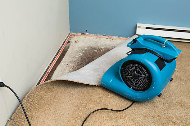  Carlyss, LA Water damage restoration Pros